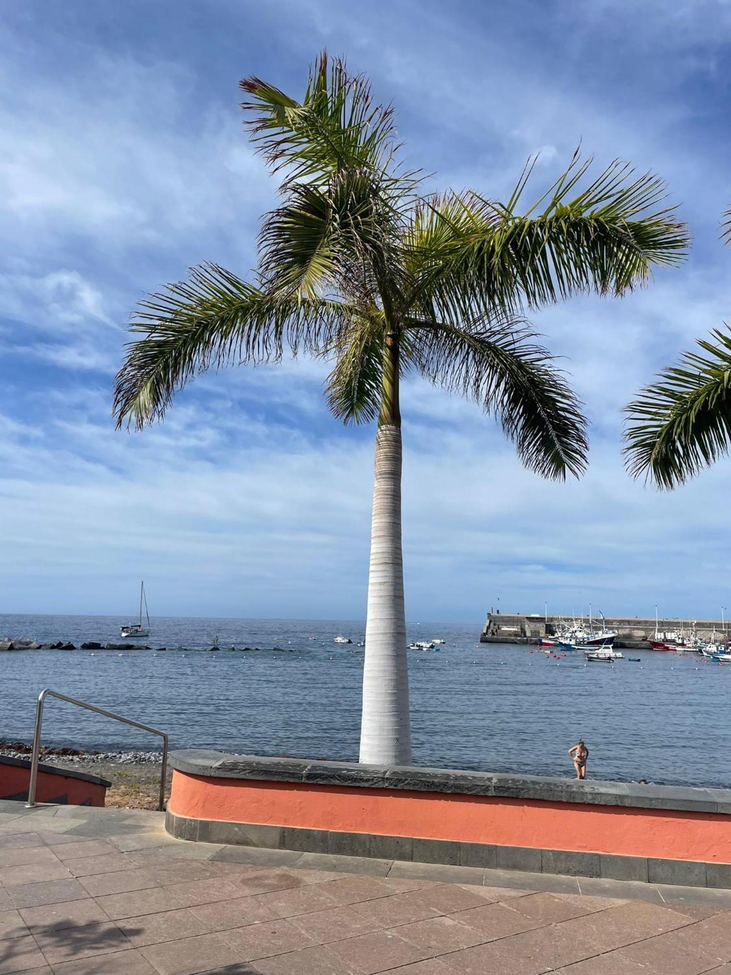 Seaside Paradise - 2 Bedroom Apartment With Ocean Views & Air Conditioning In Playa San Juan Экстерьер фото